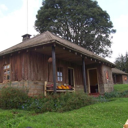 Castle Forest Lodge Mount Kenya National Park Eksteriør billede