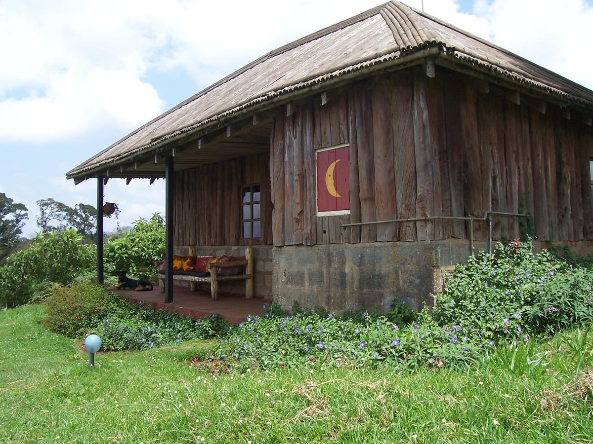 Castle Forest Lodge Mount Kenya National Park Eksteriør billede