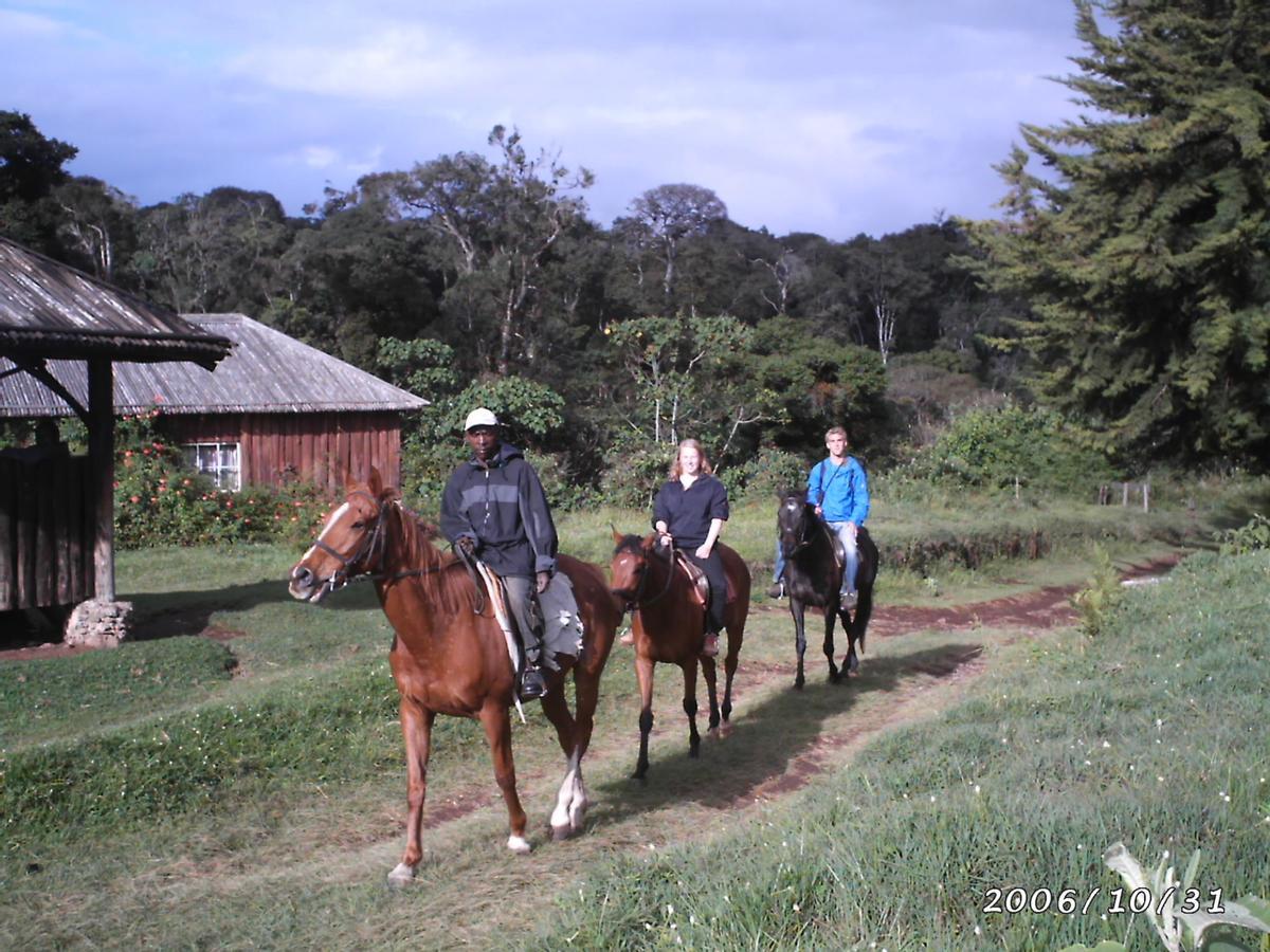 Castle Forest Lodge Mount Kenya National Park Eksteriør billede