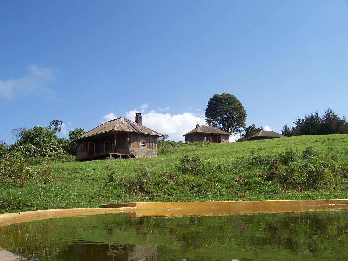 Castle Forest Lodge Mount Kenya National Park Eksteriør billede