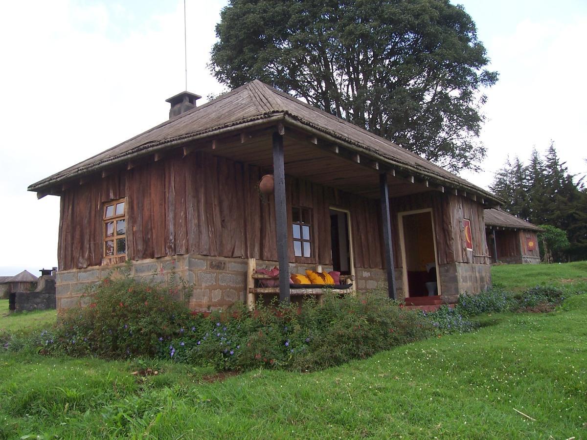 Castle Forest Lodge Mount Kenya National Park Eksteriør billede