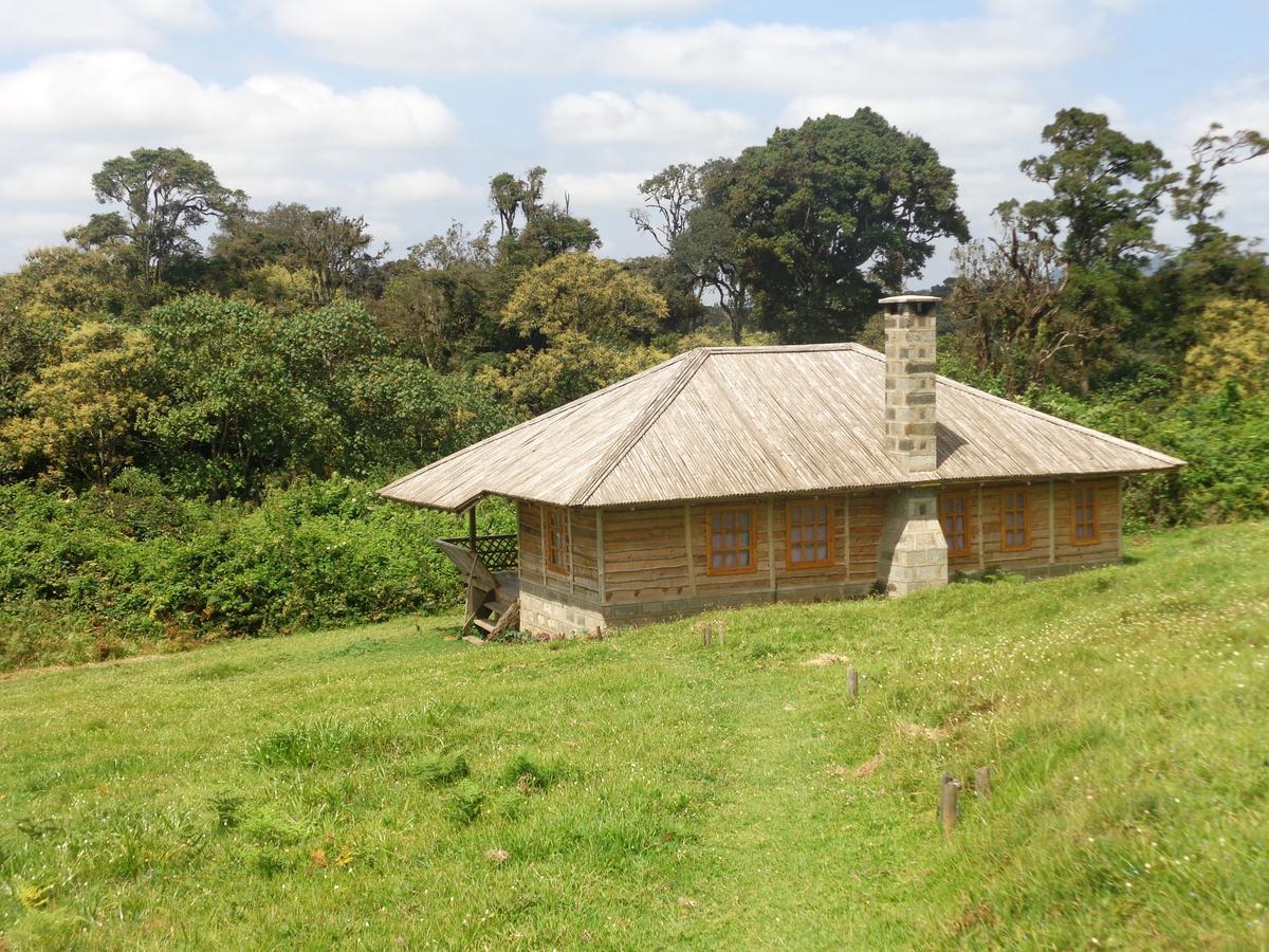 Castle Forest Lodge Mount Kenya National Park Eksteriør billede