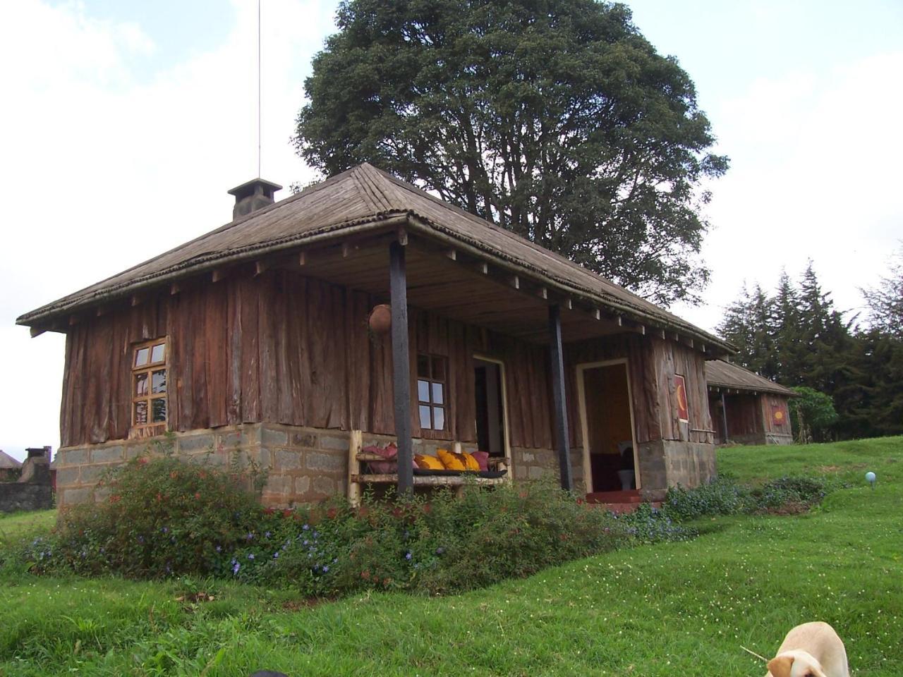 Castle Forest Lodge Mount Kenya National Park Eksteriør billede